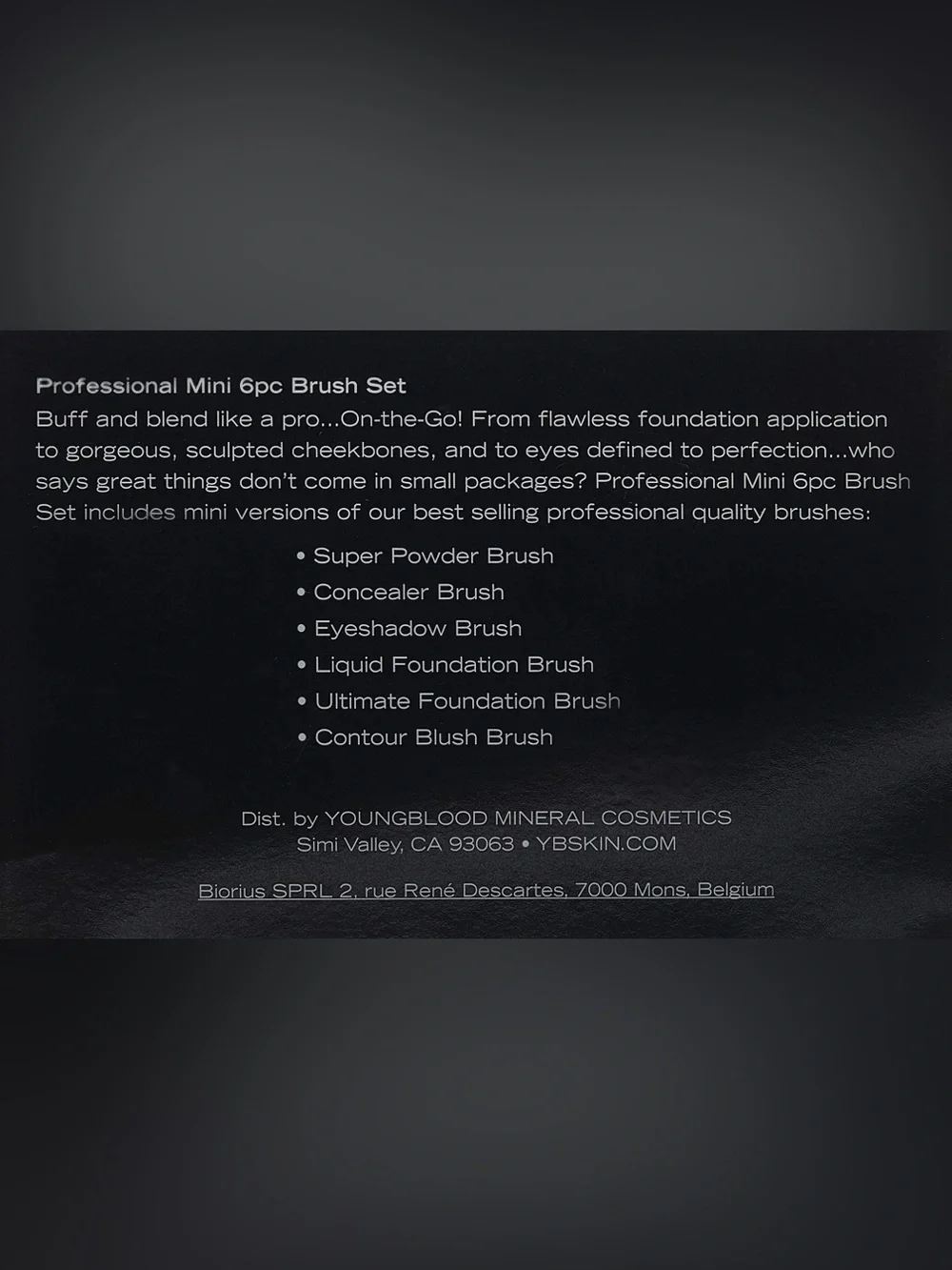 Youngblood Professional mini 6pc brush set